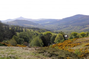 Wicklow Mountains Nationalpark
