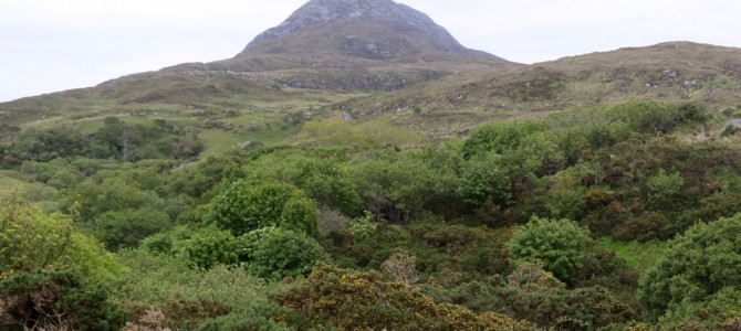Auf dem Diamond Hill im Connemara Nationalpark